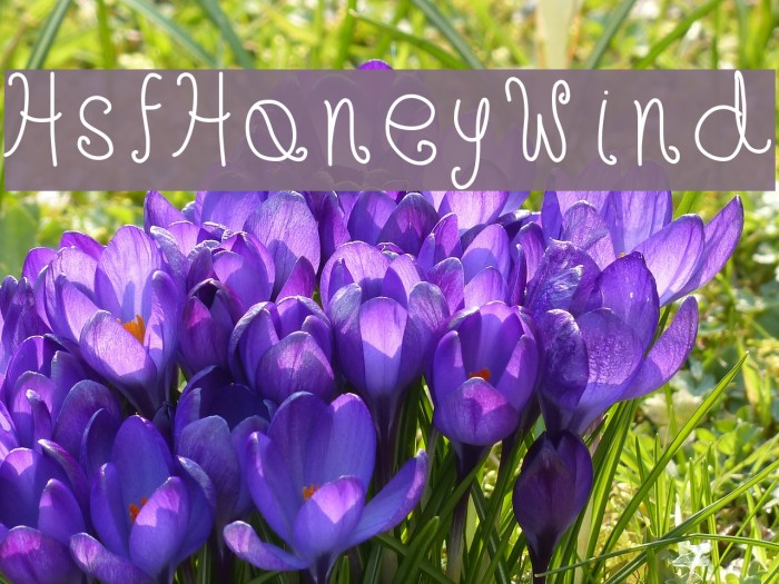 HsfHoneyWind Font examples
