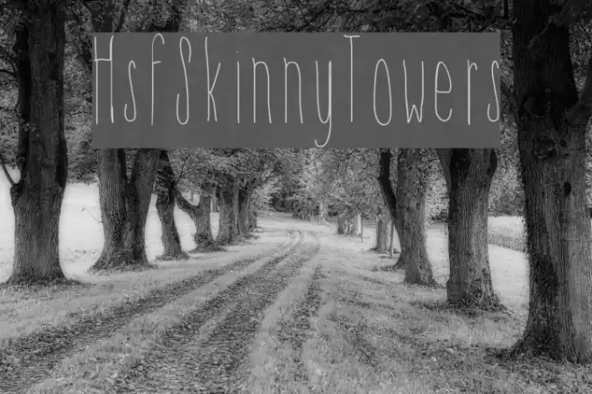 HsfSkinnyTowers Font examples