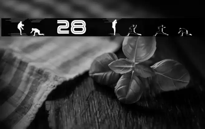 HT28 Fuentes examples