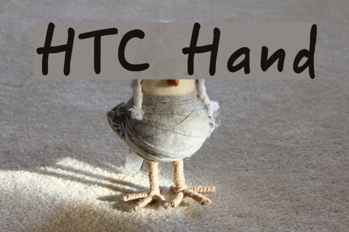 HTC Hand Example 1