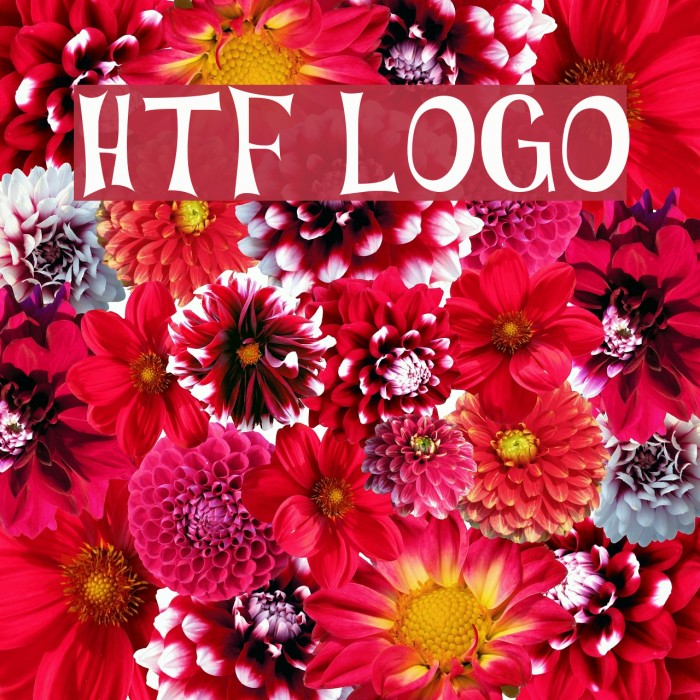 HTF Logo Font examples