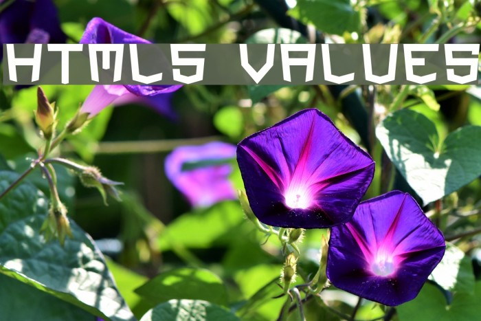 HTML5 Values Font examples