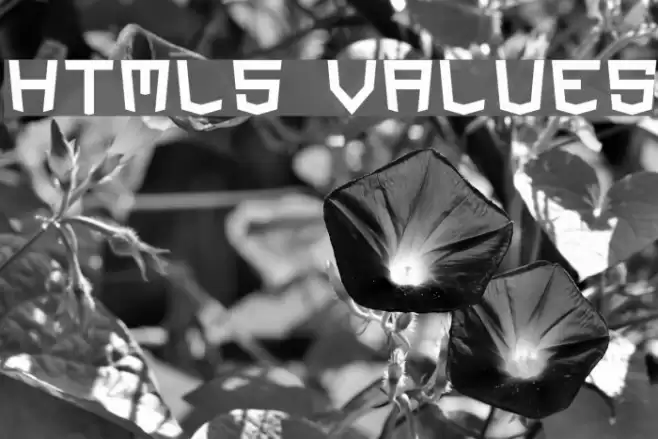 HTML5 Values Font examples