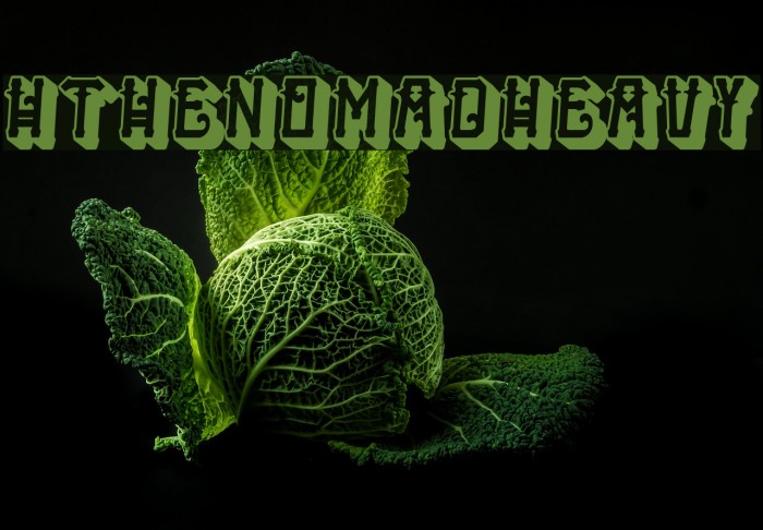 HTheNomad-Heavy Font examples