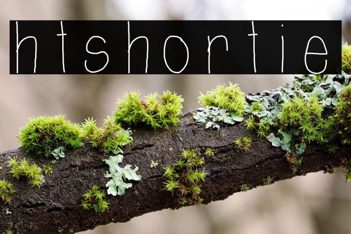 htShortie Example 1