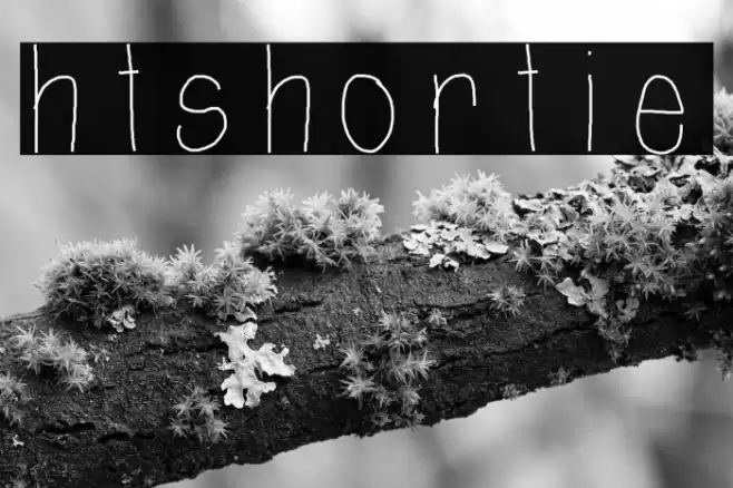 htShortie Caratteri examples