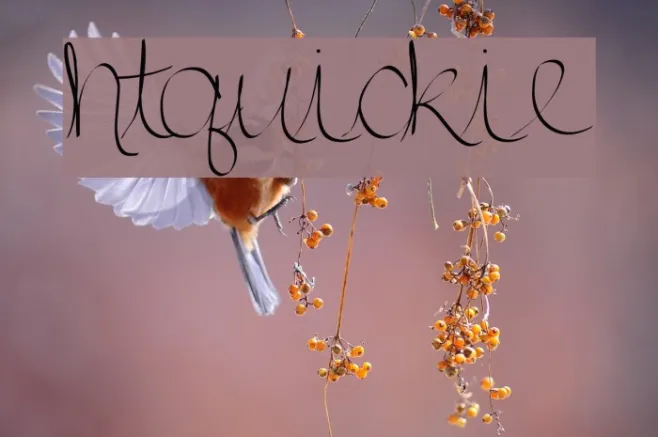 htquickie Example 1