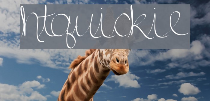 htquickie Font examples