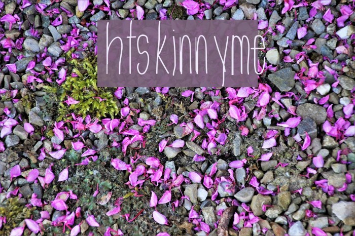 htskinnyme Example 1