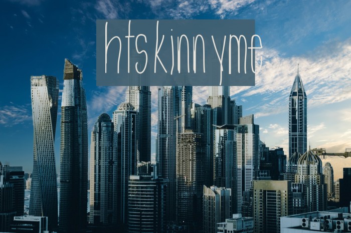 htskinnyme Example 3