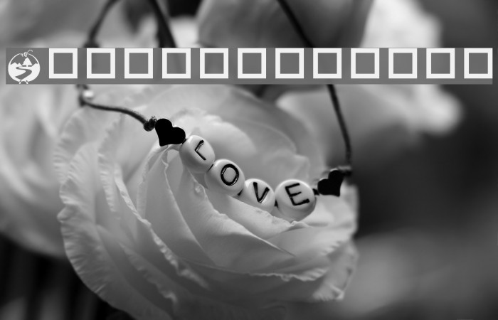htt Font examples