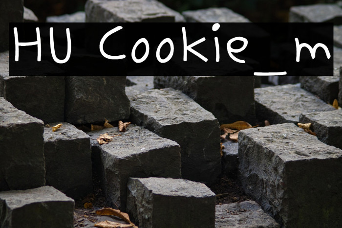 HU Cookie_m Example 1