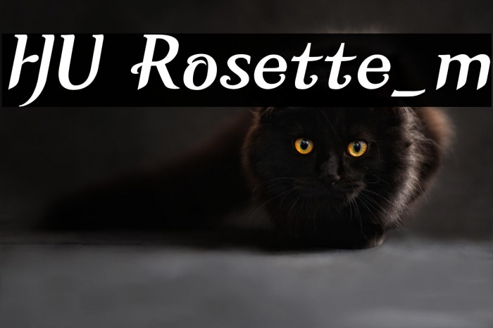 HU Rosette_m Example 1