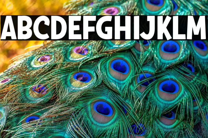 HUBBY BUNNY Example 2