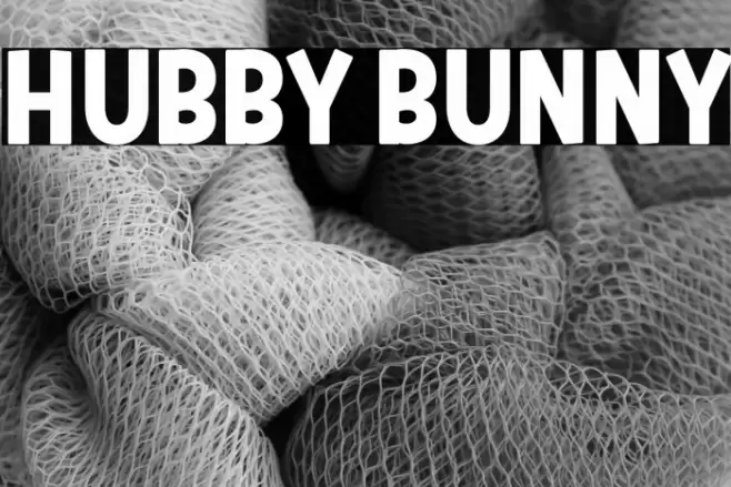 HUBBY BUNNY Font examples