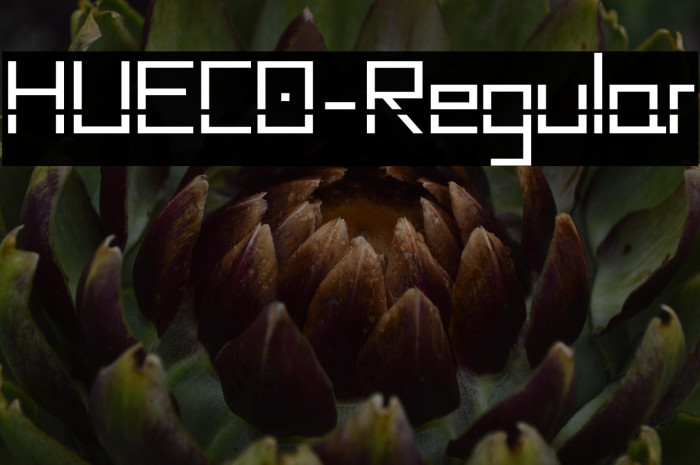 HUECO-Regular Example 2