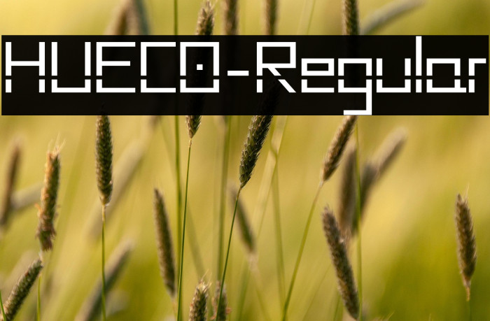 HUECO-Regular Example 3