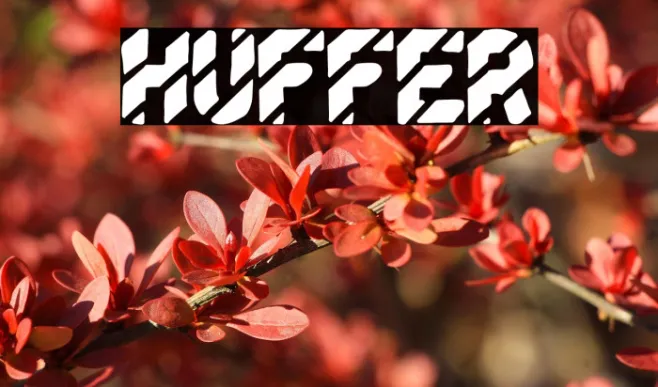 HUFFER Example 3