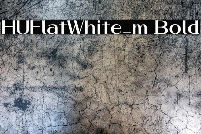HUFlatWhite_m Bold Example 1
