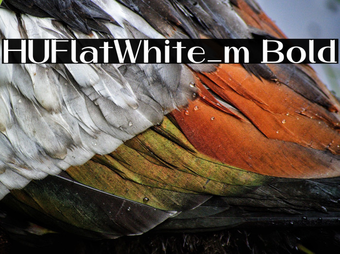 HUFlatWhite_m Bold Example 3