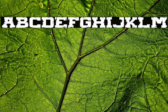 HUGE CRACK Example 1