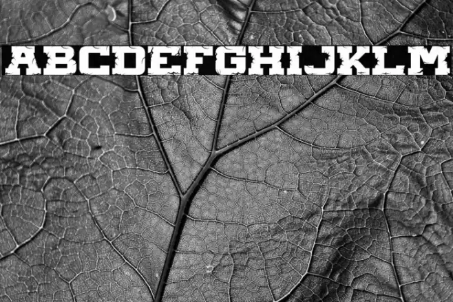 HUGE CRACK Font examples