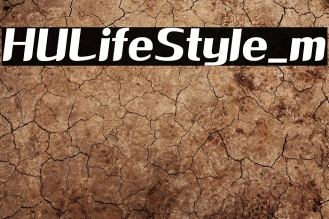 HULifeStyle_m Example 1