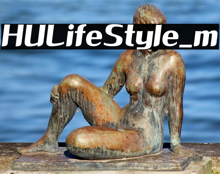 HULifeStyle_m Example 2