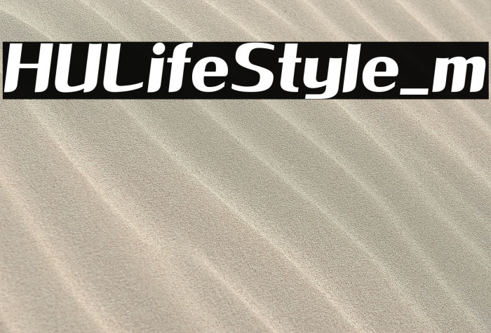 HULifeStyle_m Example 3
