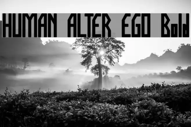 HUMAN ALTER EGO Bold Font examples