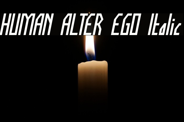 HUMAN ALTER EGO Italic Font examples