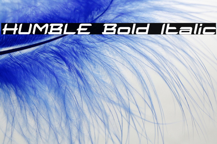 HUMBLE Bold Italic Example 2