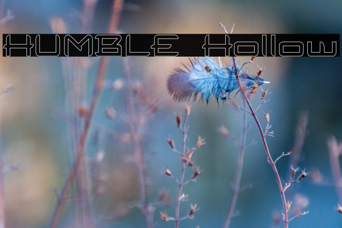 HUMBLE Hollow Example 1