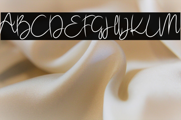 HUMBLEZING DEMO Example 1