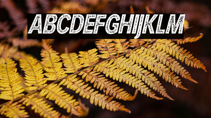 HURLANT CONDENSED ITALIC Example 3