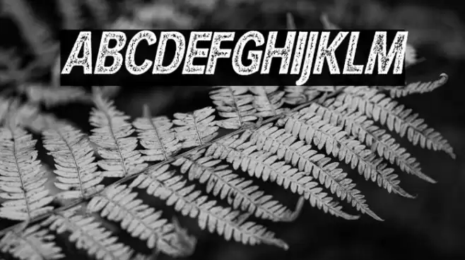 HURLANT CONDENSED ITALIC Font examples