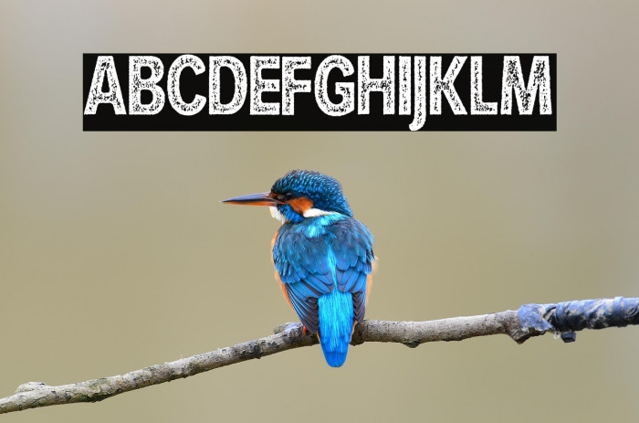 HURLANT CONDENSED Example 3