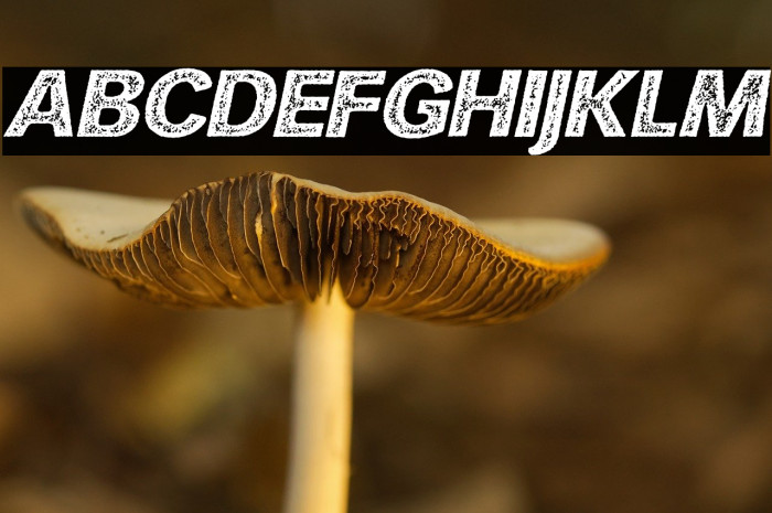 HURLANT ITALIC PERSONAL USE Regular Example 3