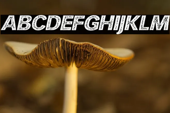 HURLANT ITALIC PERSONAL USE Regular Example 3