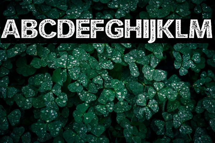 HURLANT PERSONAL USE Regular Example 3