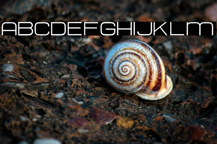 HURTMOLD Personal Use Regular Example 1