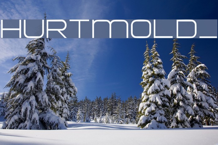 HURTMOLD_ Font examples