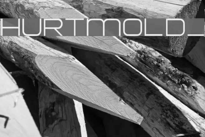 HURTMOLD_ Font examples