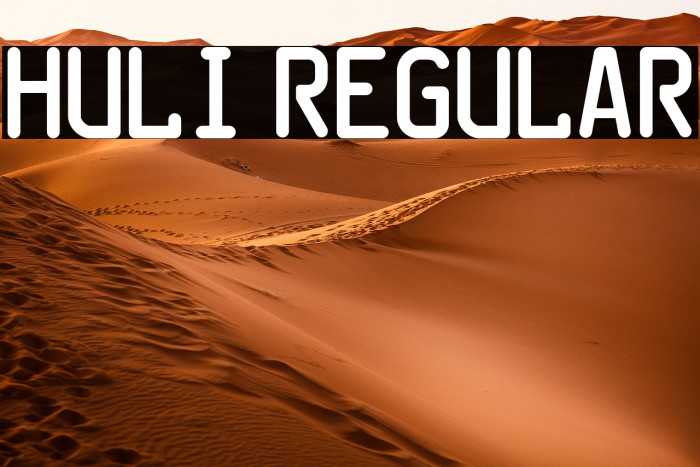 HuLi Regular Example 1