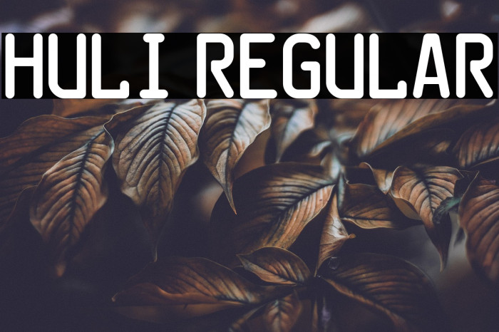 HuLi Regular Example 2