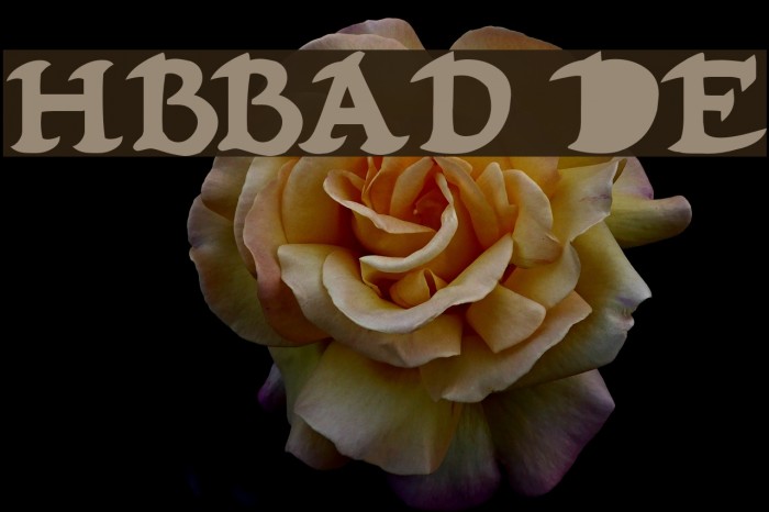 Hubbard Demo フォント examples