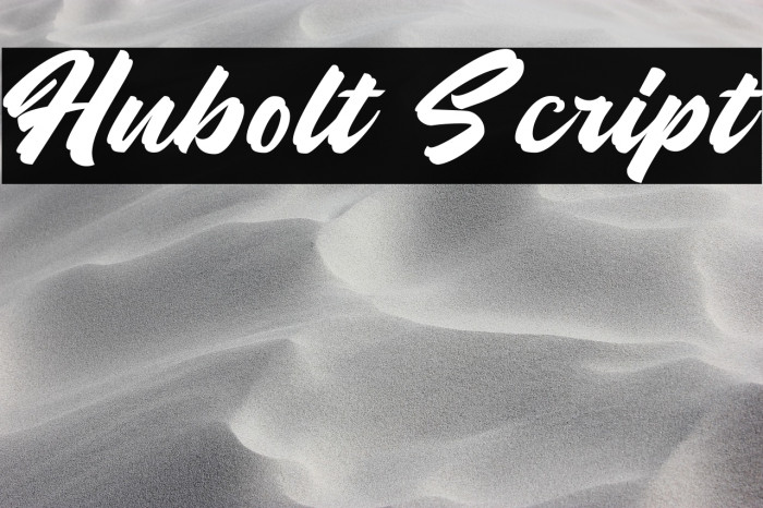 Hubolt Script Example 2