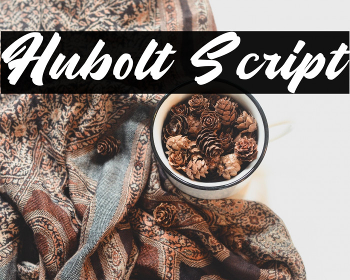 Hubolt Script Example 3