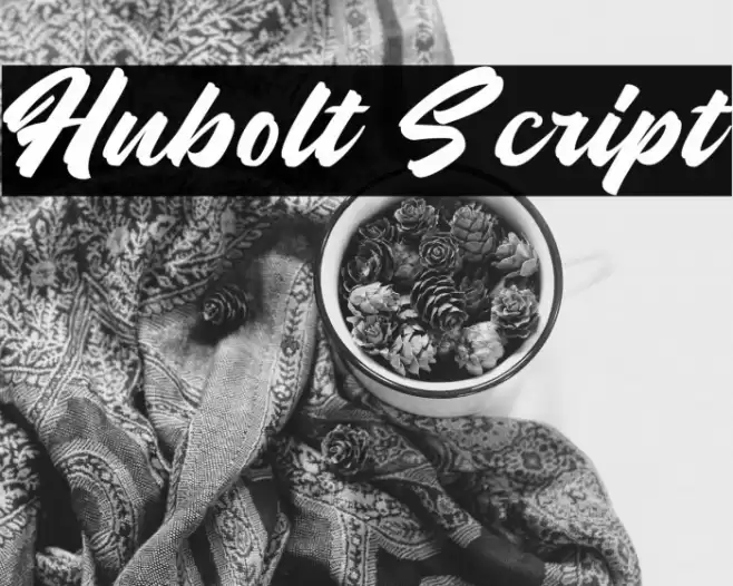 Hubolt Script Font examples