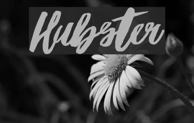 Hubster Font examples